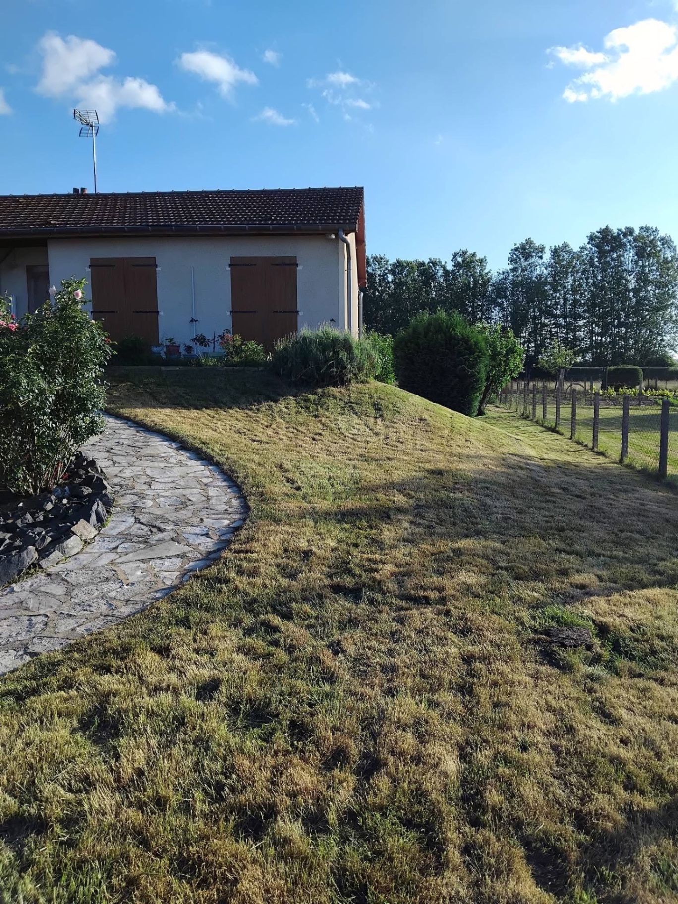 Tonte et remise en état d'une pelouse en friche — après