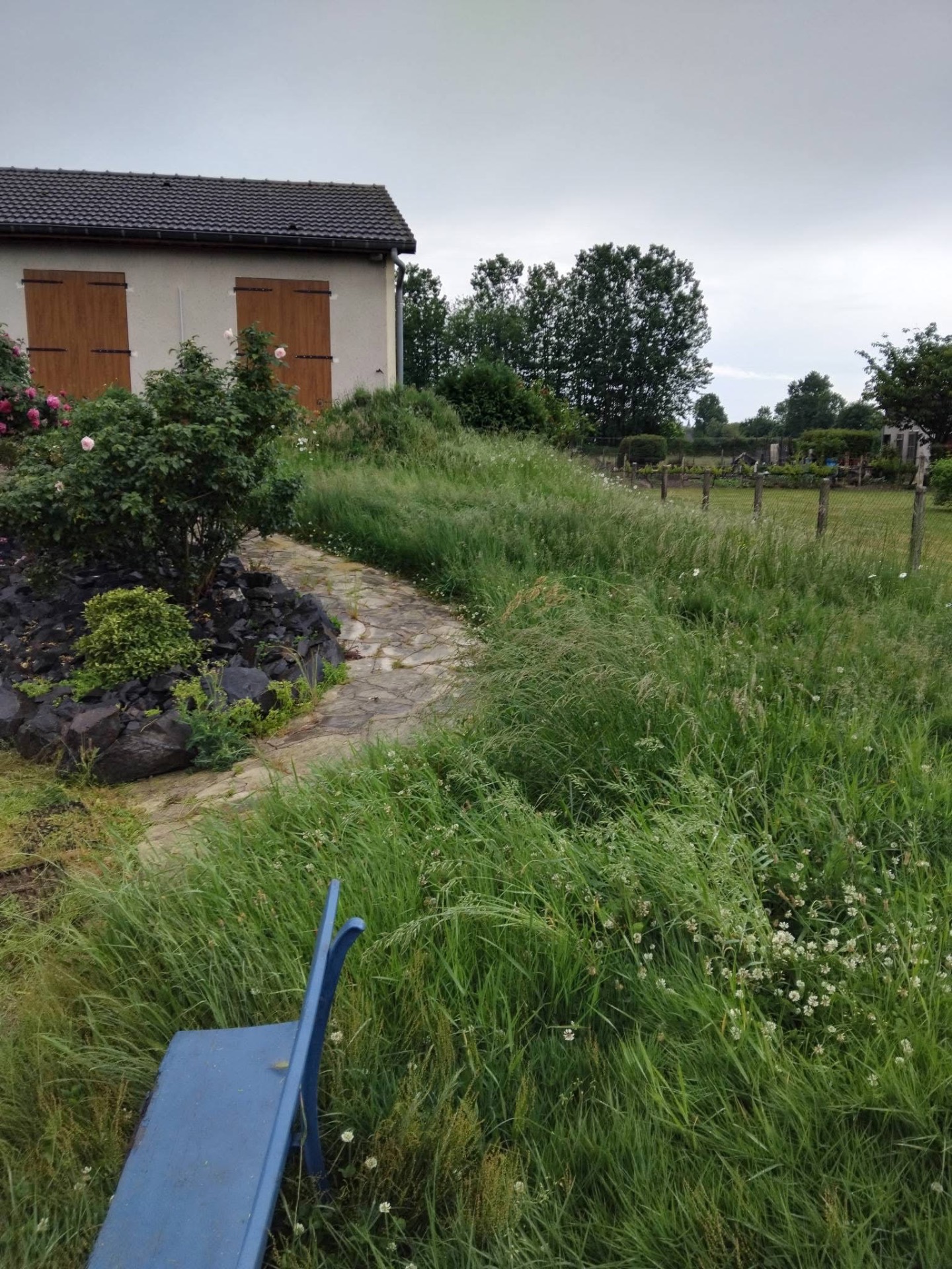 Tonte et remise en état d'une pelouse en friche — avant